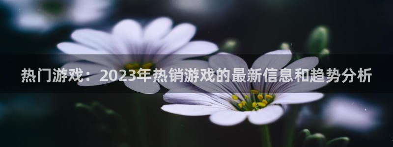 蓝冠娱乐测速：热门游戏：2023年热销游戏的最新信息和趋势分