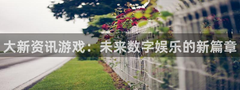 蓝冠娱乐平台注册开户：大新资讯游戏：未来数字娱乐的新篇章