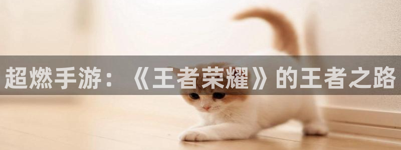 蓝冠娱乐Ii：超燃手游：《王者荣耀》的王者之路