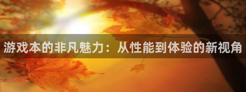 蓝冠娱乐登录网址：游戏本的非凡魅力：从性能到体验的新视角