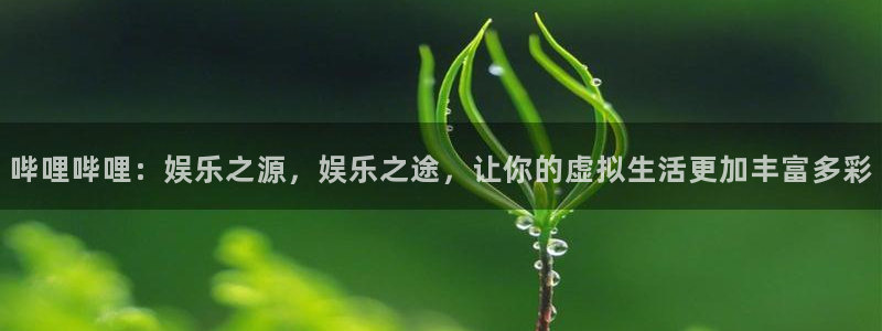 蓝冠娱乐科技：哔哩哔哩：娱乐之源，娱乐之途，让你的虚拟生活更
