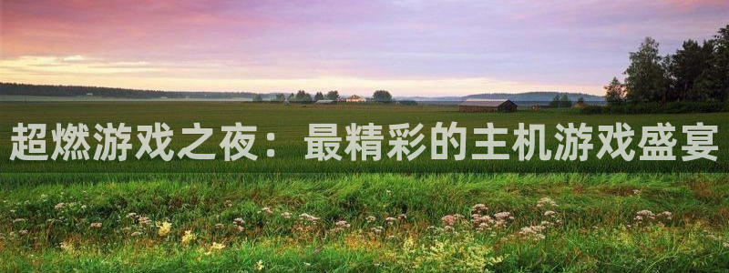 蓝冠娱乐注册账号：超燃游戏之夜：最精彩的主机游戏盛宴