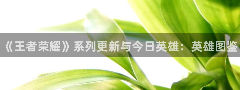 蓝冠娱乐科技：《王者荣耀》系列更新与今日英雄：英雄图鉴