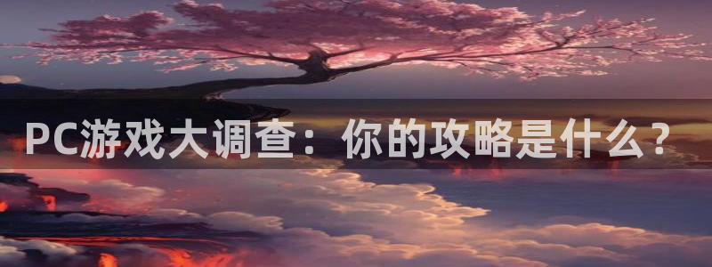 蓝冠怎么样：PC游戏大调查：你的攻略是什么？