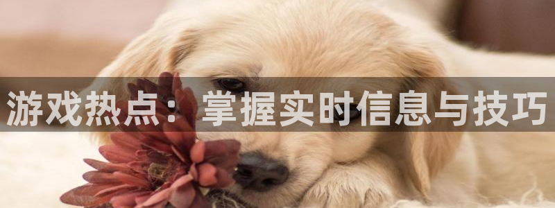 蓝冠娱乐登陆地址：游戏热点：掌握实时信息与技巧