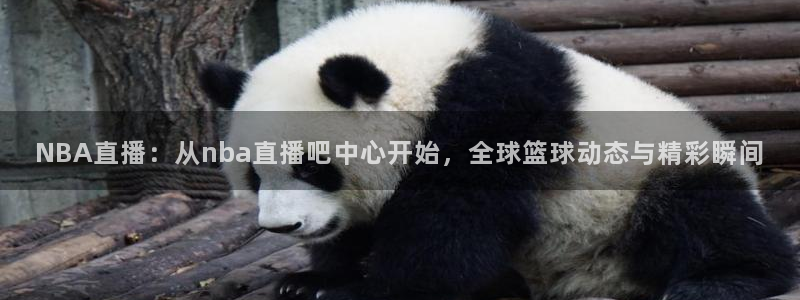 球神直播网免费直播在线观看：NBA直播：从nba直播吧中心开始，全球篮球动态与精彩瞬间