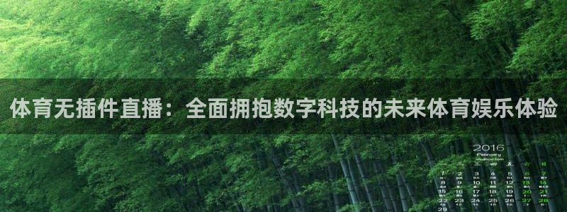 球神nba直播：体育无插件直播：全面拥抱数字科技的未来体育娱乐体验