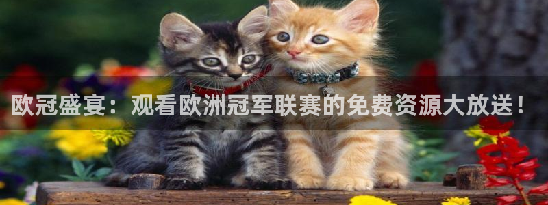 球神体育直播在线：欧冠盛宴：观看欧洲冠军联赛的免费资源大放送！