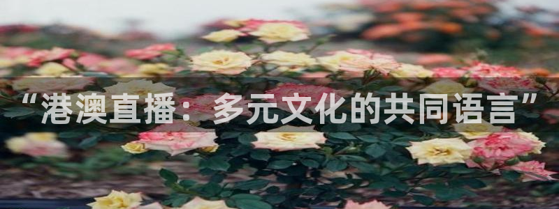 球神体育直播在线：“港澳直播：多元文化的共同语言”