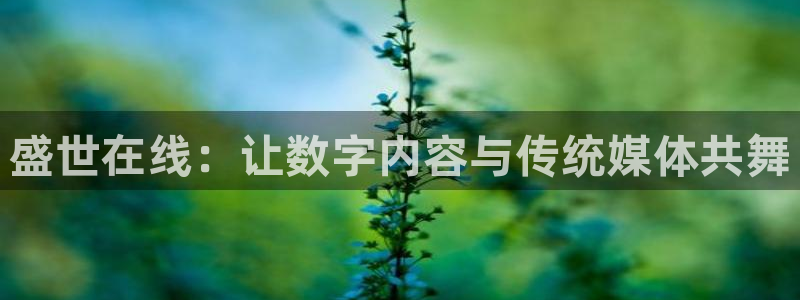 球神体育：盛世在线：让数字内容与传统媒体共舞
