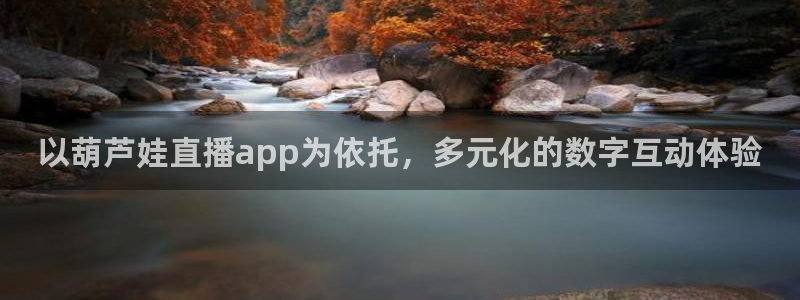 nba直播球神：以葫芦娃直播app为依托，多元化的数字互动体验