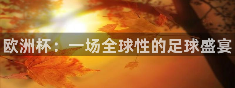球神体育直播官网：欧洲杯：一场全球性的足球盛宴