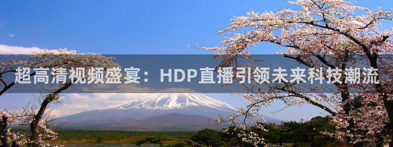 球神直播免费足球直播：超高清视频盛宴：HDP直播引领未来科技潮流