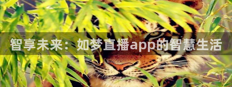 nba直播球神直播：智享未来：如梦直播app的智慧生活