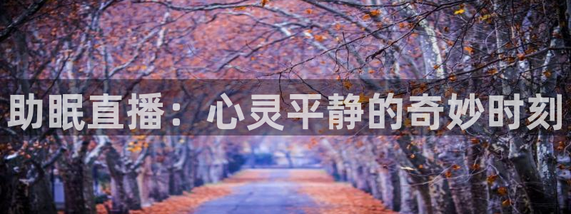 nba球神直播：助眠直播：心灵平静的奇妙时刻