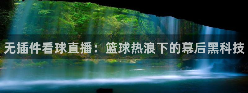 足球直播球神：无插件看球直播：篮球热浪下的幕后黑科技